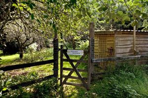 Photo 36- click for photo gallery